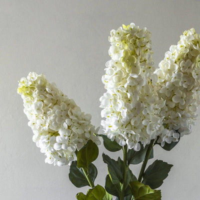 37" Hydrangea Paniculata Stem - White