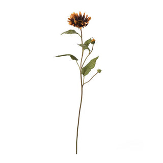 Wild Field Flower