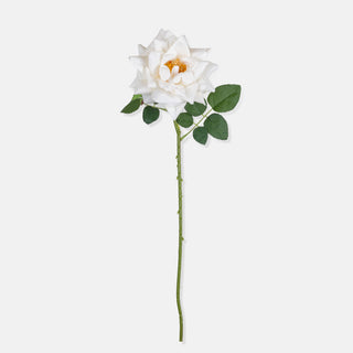 24" Winter Rose Stem