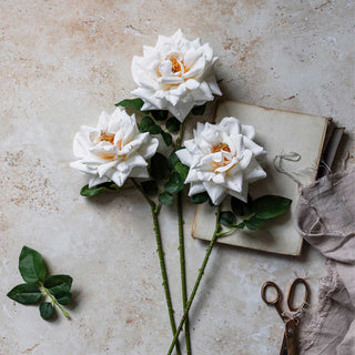 24" Winter Rose Stem
