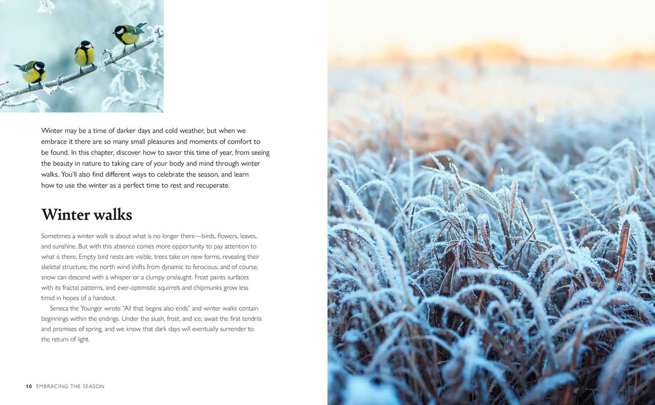 Winter Wellbeing Book