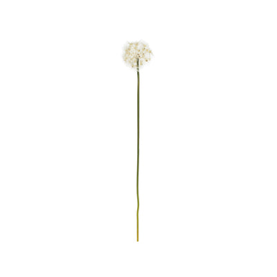 31" Dandelion Wish Stem - More Coming