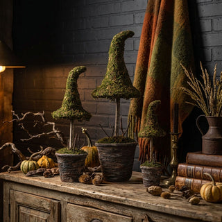 Potted Moss Witch’s Hat – Available in 3 Sizes