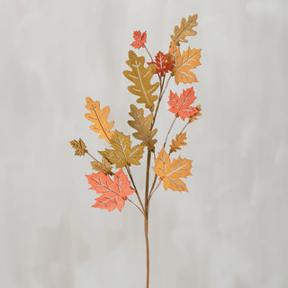 Wooden Oak And Maple Stem