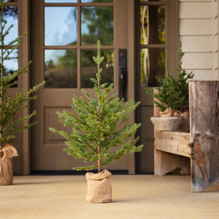 40" Woodland Fir Tree
