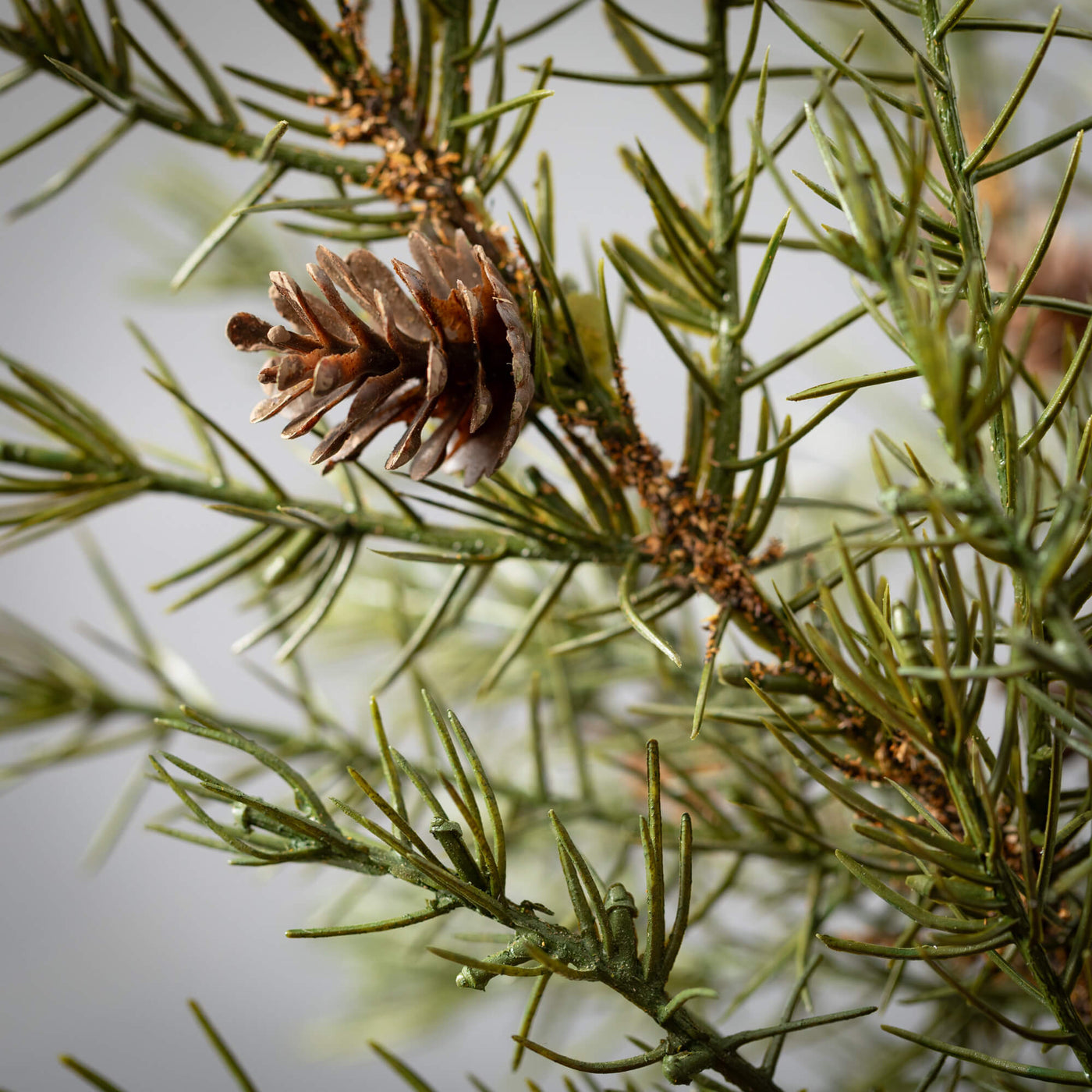 26.5" Cedar Pinecone Wreath