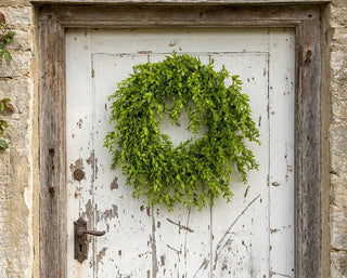 24" Ruscus Wreath