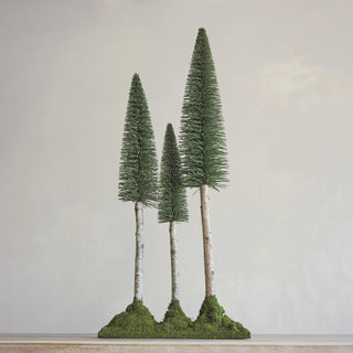 Bottle Brush Trees With Birch Wood Trunks & Moss Base