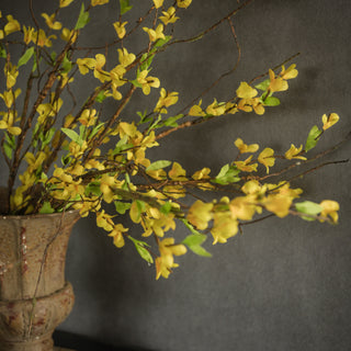 34" Yellow Forsythia Spray
