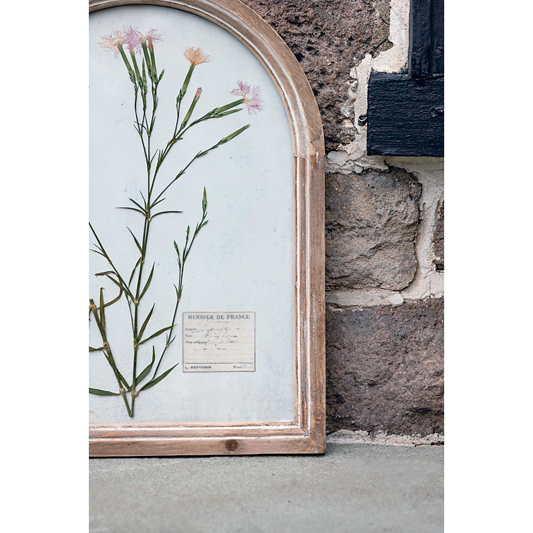 York Gardens Large Botanical Pressed Flowers in Arched Frame