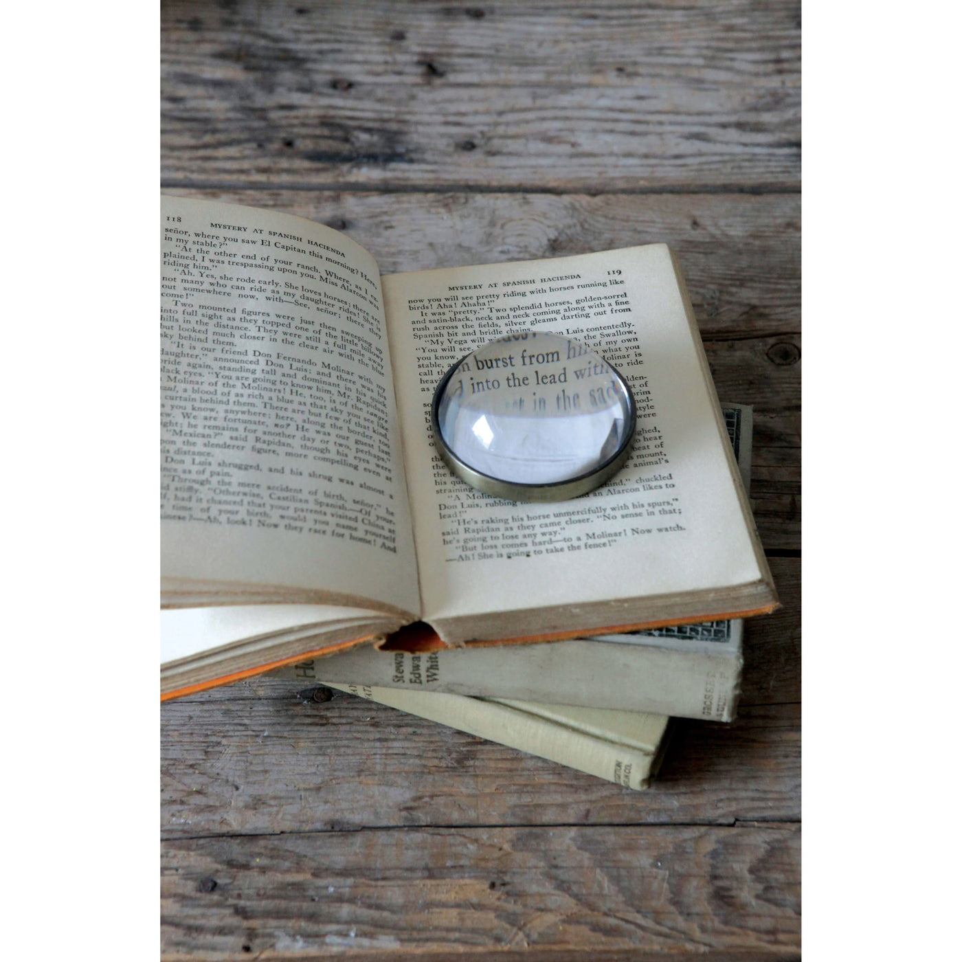 Paperweight Magnifying Glass