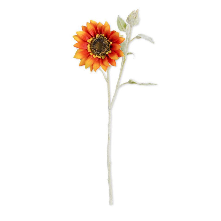 Orange Sunflower Stem