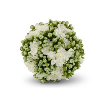 5 Inch White Kalanchoe Ball - More Coming Soon