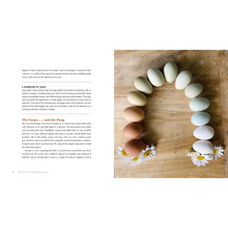 The Grace Filled Homestead Book