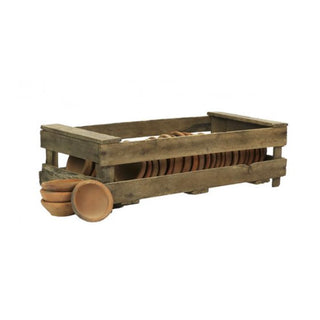 Planter's Seedling Pots with Crate