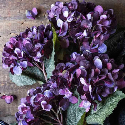 Hydrangea Stem - Backordered