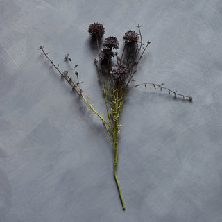 Purple Melaleuca Flower Stem