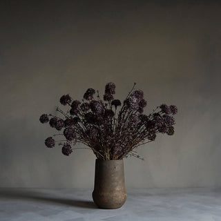 Purple Melaleuca Flower Stem
