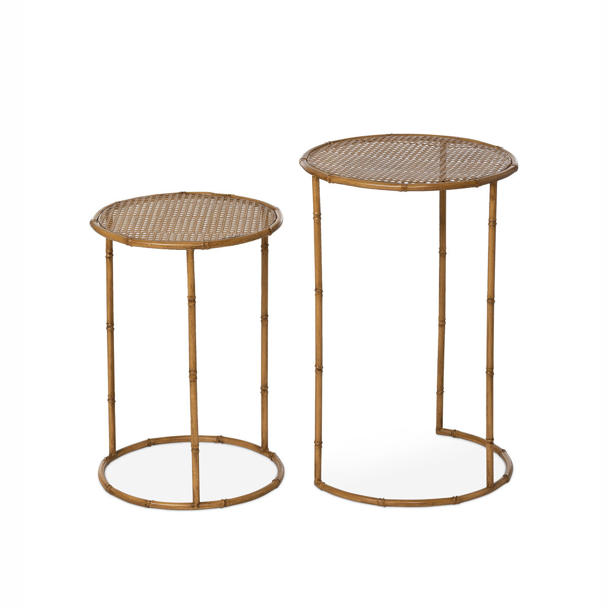 Set of 2 Roanoke Metal Occasional Nesting Tables
