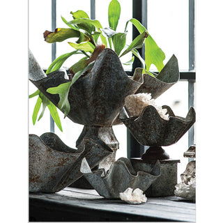 Oxidized Zinc Handkerchief Planter