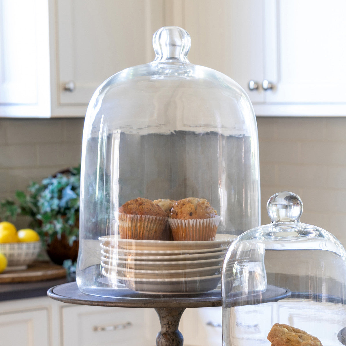 Large Bell Jar Cloche - More Coming Soon