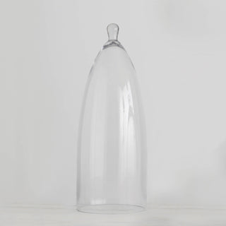 Standing Tall Glass Cloche