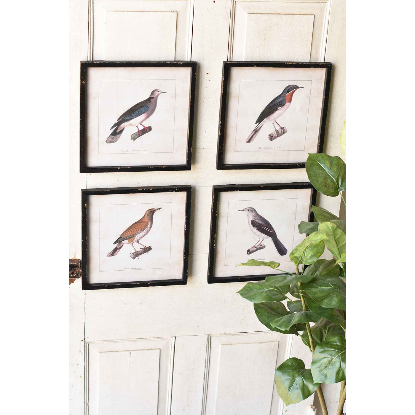 Heritage Meadows Bird Prints - Set of 4