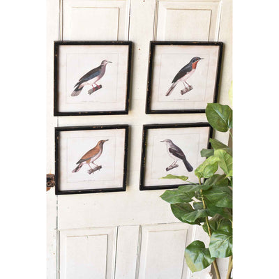 Heritage Meadows Bird Prints - Set of 4