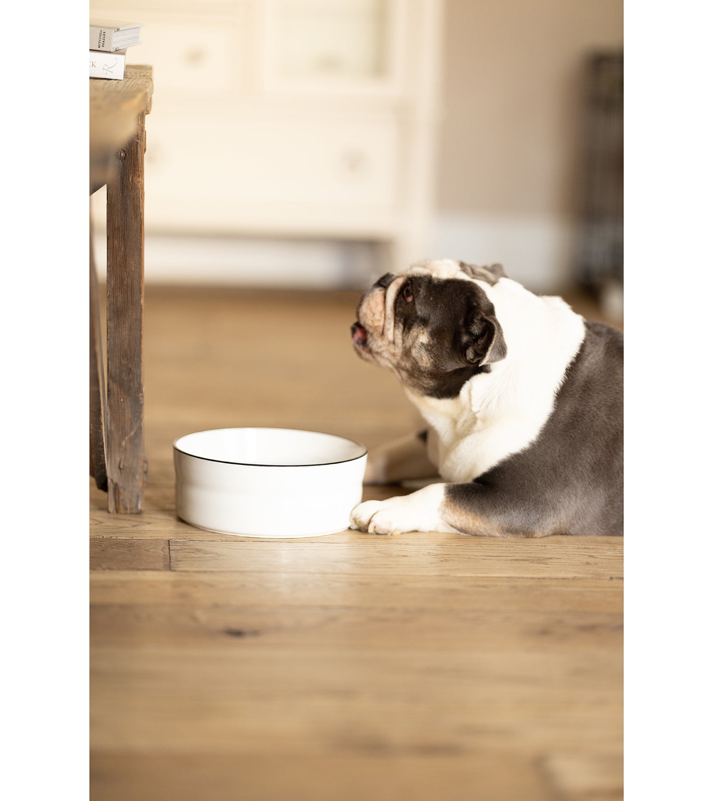 Farmhouse Black and White Stoneware Pet Bowl - Available in Large and Small