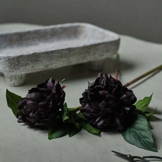Plum Peony