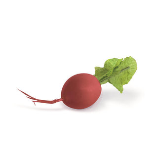 Bag of 6 Faux Radishes
