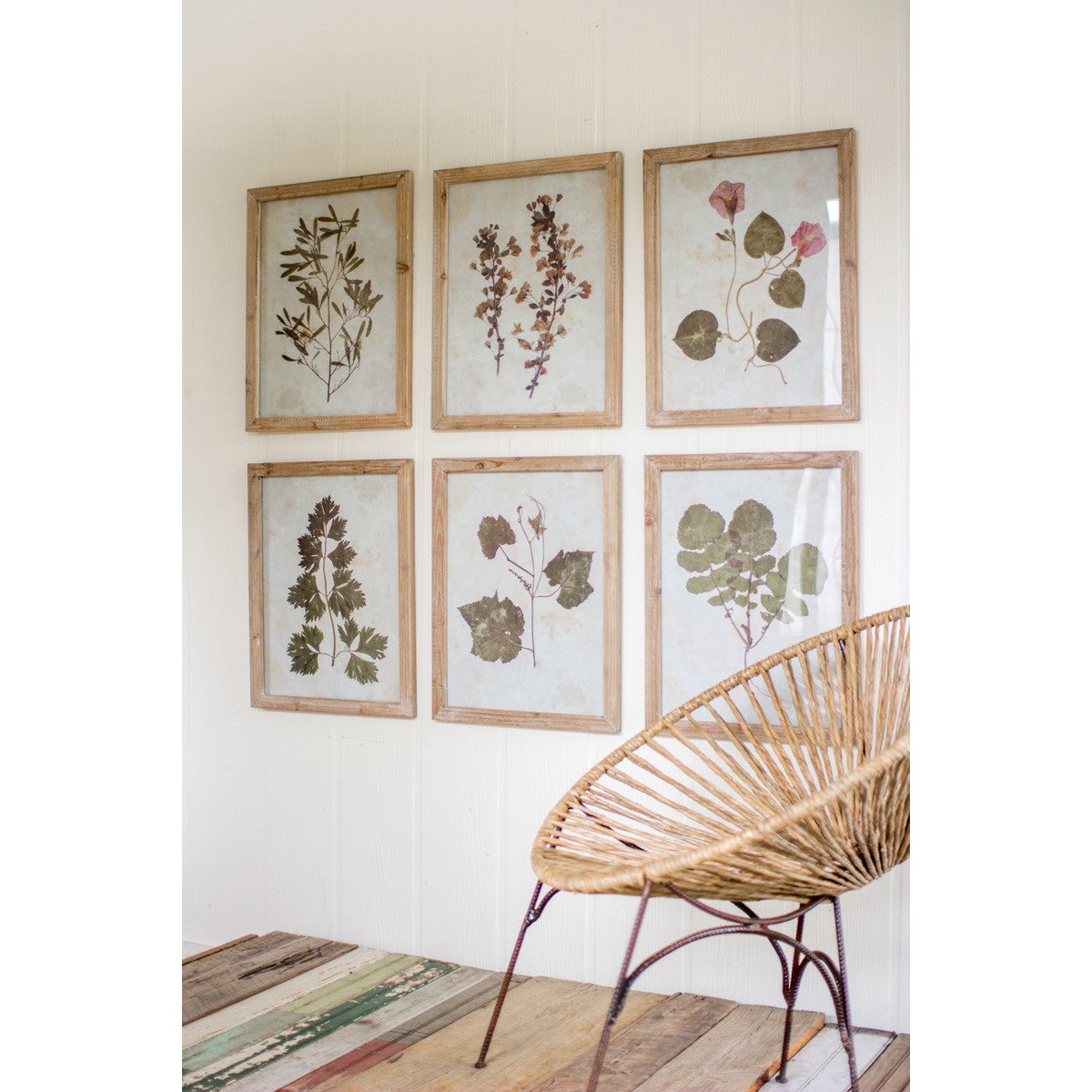 Set of 6 Framed Botanical Prints