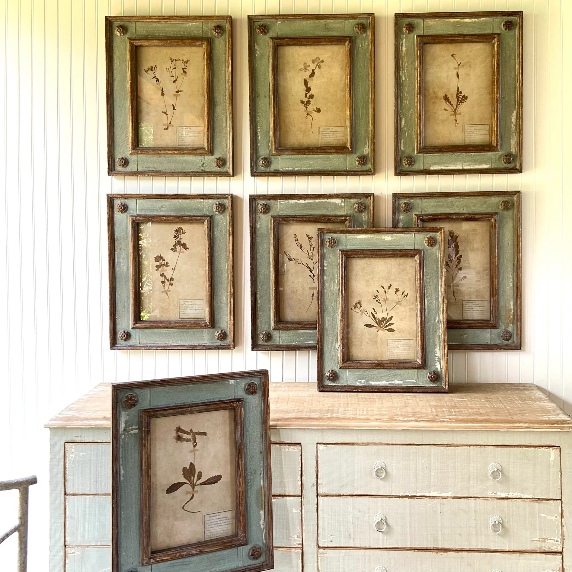 Set of 8 Framed Botanical Prints Cotton & Crete