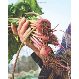 Soul - A Chef's Culinary Evolution in 150 Recipes Cookbook